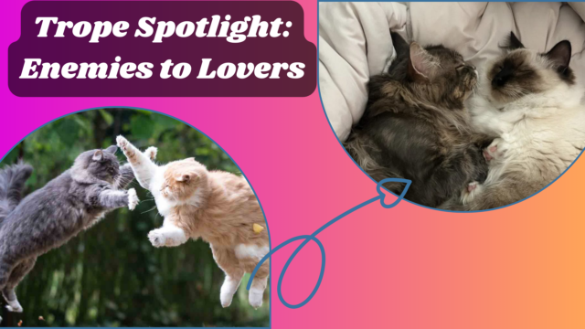 Banner image of two cats fighting next to two cats snuggling. The text in the top left corner reads Trope Spotlight: Enemies to Lovers