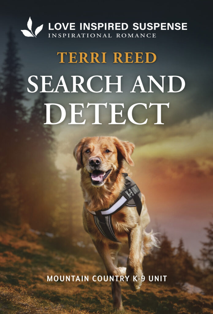 Cover image for Search and Detect by Terri Reed