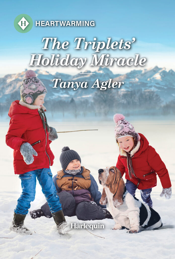 Cover image for Tanya Agler's The Triplets' Holiday Miracle