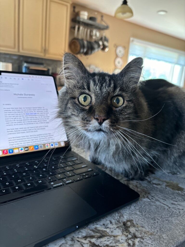 A laptop sits on a counter, while a cat sprawls across the keyboard