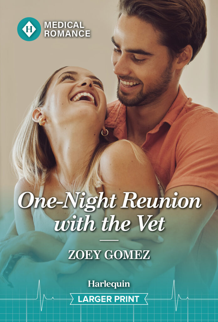 Cover image for One Night Reunion with the Vet by Zoey Gomez