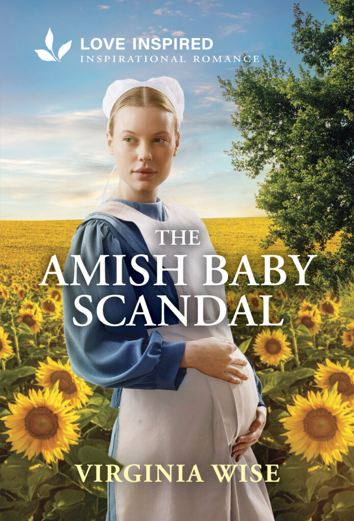 Cover image for Virginia Wise's The Amish Baby Scandal