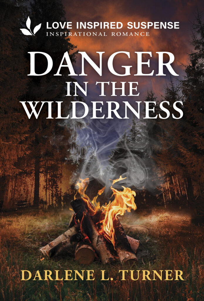 Cover image for Danger in the Wilderness