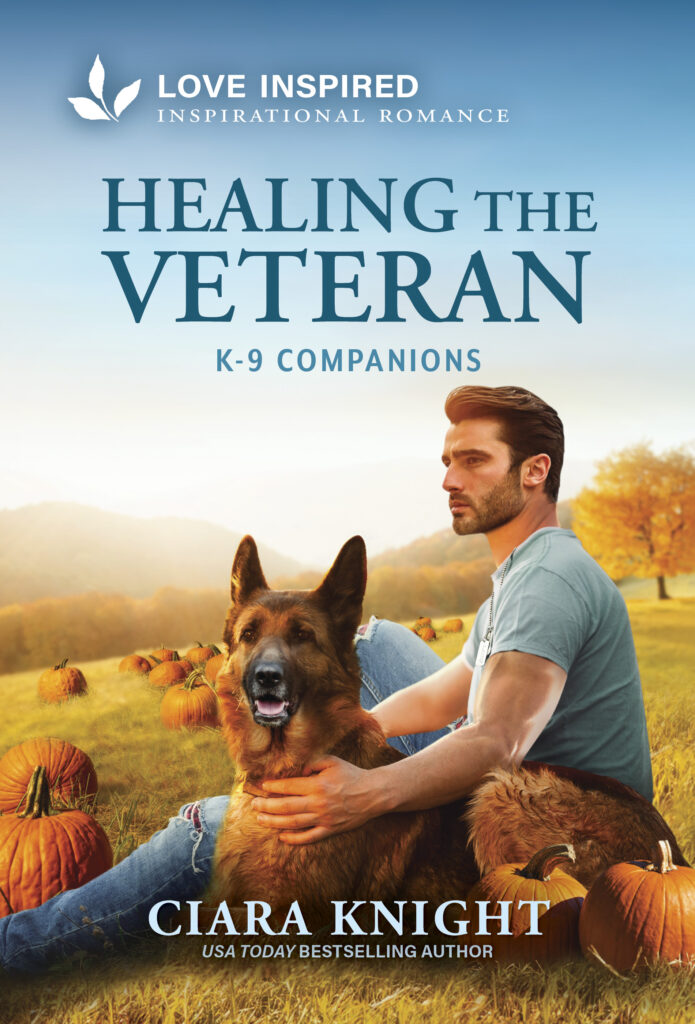 Cover image for Ciara Knight's Healing the Veteran