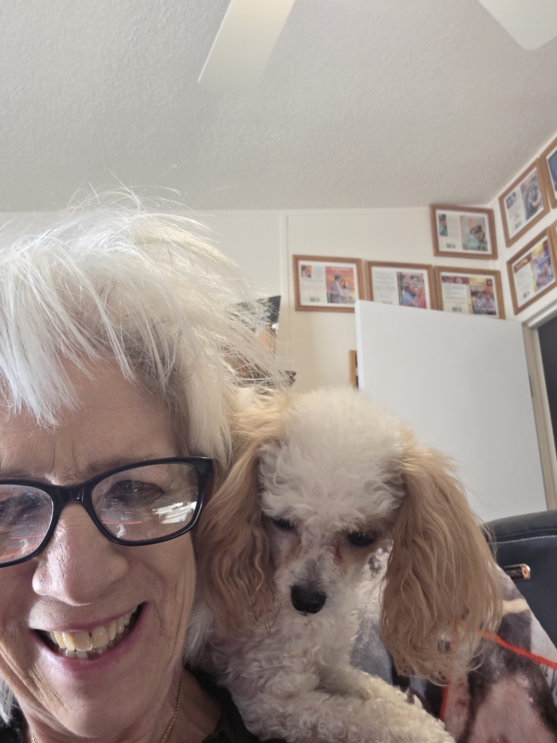 A Day in the Life of Harlequin Author Tara Taylor Quinn - Write